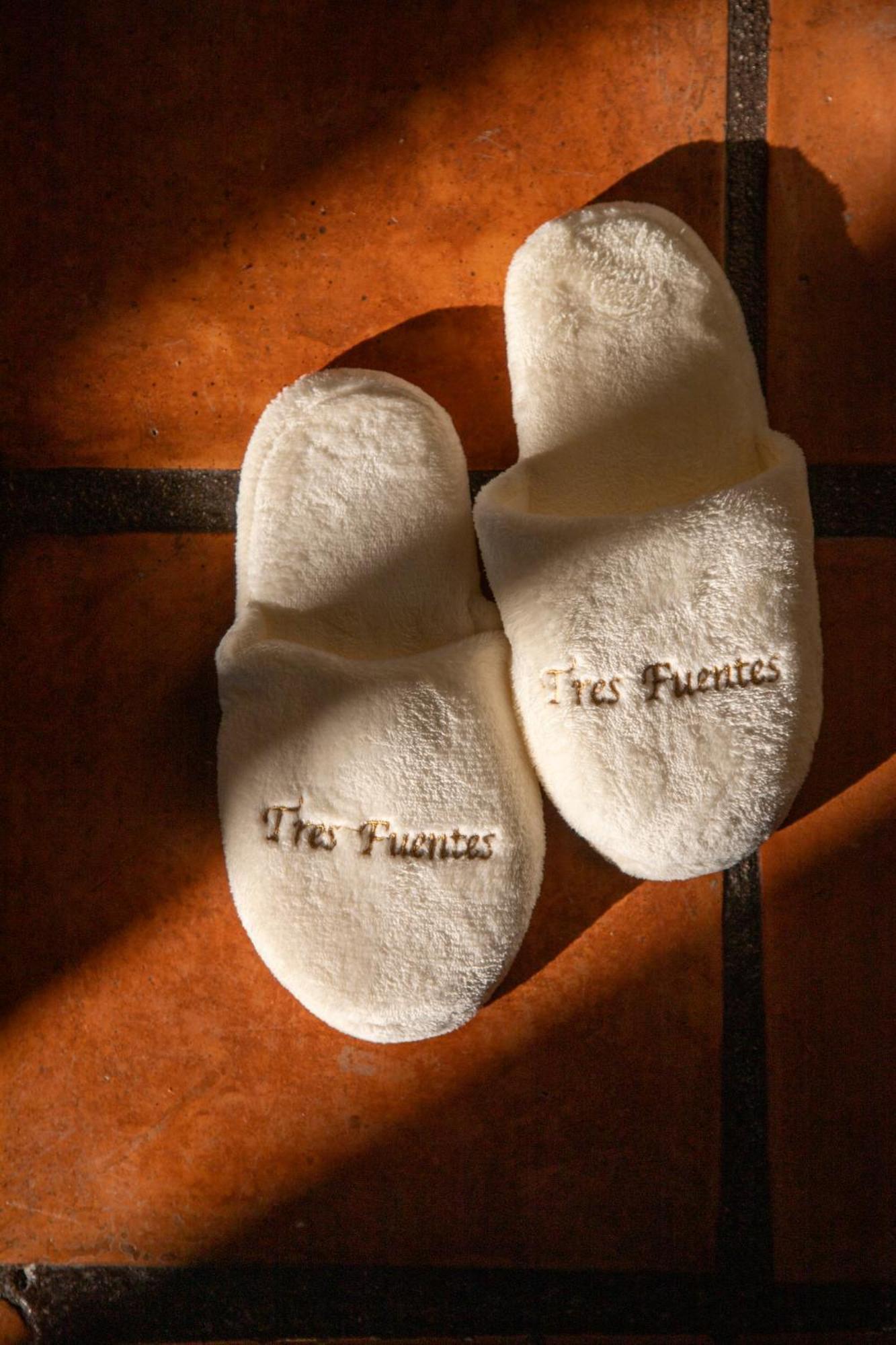 Tres Fuentes Hotel Boutique San Miguel de Allende Eksteriør billede